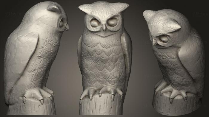 3D model Grumpy Owl (STL)
